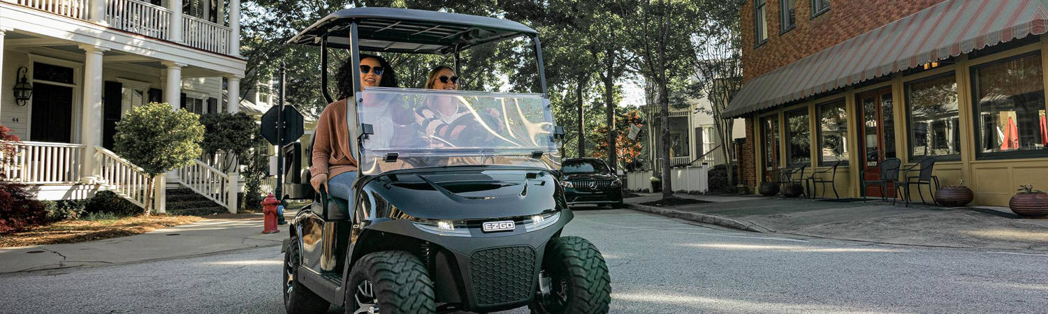 2023 E-Z-GO Freedom RXV for sale in Roach Golf Cars, Cambridge, Minnesota